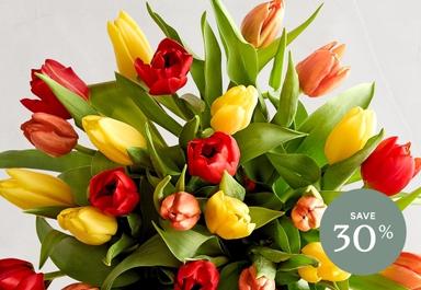 Header navigation sub menu