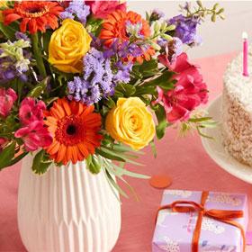 Header navigation sub menu