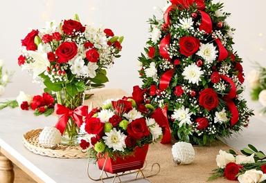 Header navigation sub menu